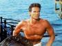 Steve Reeves