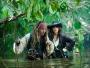 6. Johnny Depp i Penelope Cruz ("Piraci z Karaibów 4") - 1 miliard dolarów
