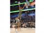Jeremy Evans