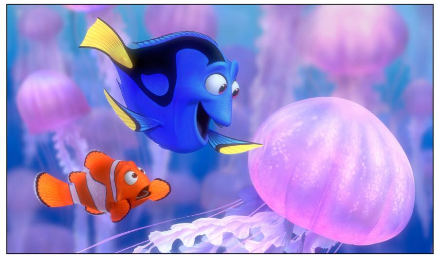 5. "Gdzie jest Nemo?"