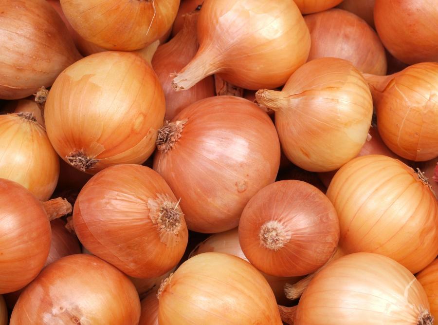 5. Cebula