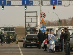 Mrówki nie mają już siły na protesty